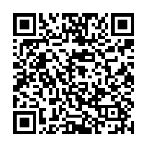 当看到那总共得有二三十斤的洋酒放在桌子上的时候二维码生成