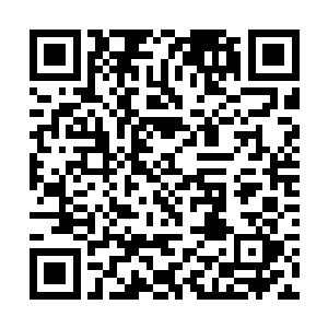 当看起来文弱的左文怀一次次地将于明舟击倒在地上二维码生成