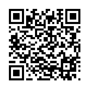 当真是让彼德和艾丽丝二人惊讶无比二维码生成