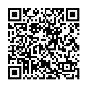 当着四小姐和韩姨娘的面儿把金珍姨娘给带到了同生轩二维码生成