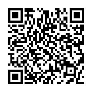 当着无数人的面把那位正在宣传游戏的原作者狠狠砸在下面二维码生成