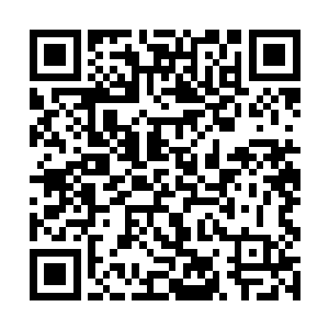 当着赵苍松和莫青云的面他又不能承认自己看走眼了二维码生成