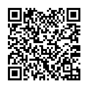 当神识捕捉到大量的混沌兽或者域外天魔群的时候二维码生成