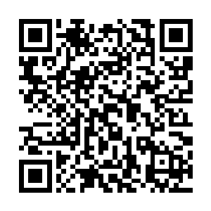 当秘书从锦被里伸出芊芊玉手拿起床头柜上的手机接通以后二维码生成