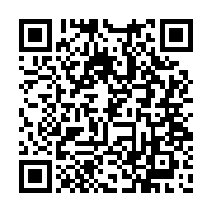 当秦庄带着最后一样稀有灵草回到同界大比世界二维码生成