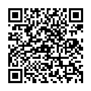 当第六名可疑人物试图绕到一棵大树后面去的时候二维码生成