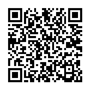 当罗博士紧张得心脏都快要从嘴里跳出来的时候二维码生成