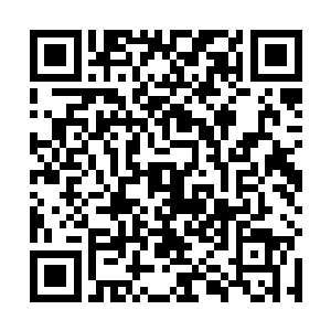 当罪犯在做案时为什么没有见到我们公安警察及时放枪二维码生成