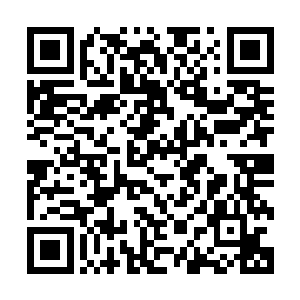 当自己说出这句话的时候一定会非常开心的想要巴结讨好自己二维码生成