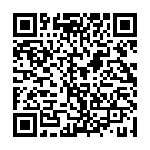 当花岗山三当家的听到猫五和鼠六全都死亡的消息时二维码生成