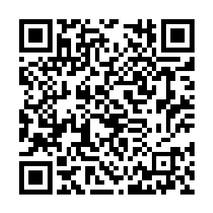 当苏华衍刚开了个头说到苏落的血能融合兄弟们时二维码生成