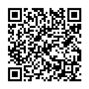 当苏林从距离图腾柱这么近的地方跳落下来的时候二维码生成