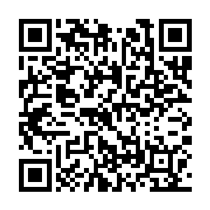 当苏林终于越过了黄金宝座来到那墓室入口的时候二维码生成