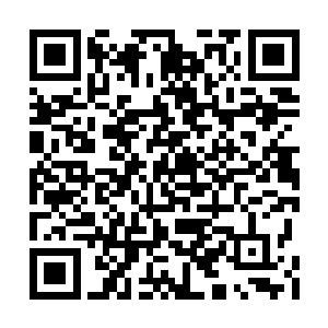 当苏清将冰雪虚影这一招加注到冰豹身上时――二维码生成