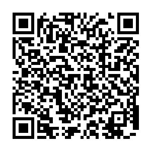 当若水开始灌注他身体之后　界珠当中的婉儿顿时指引着若水向着西北方向而去二维码生成
