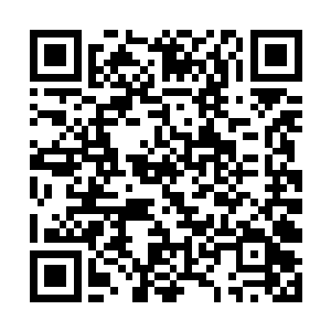 当蒲节魔君从吴岩的储物戒指中发现了月魂石的时候二维码生成