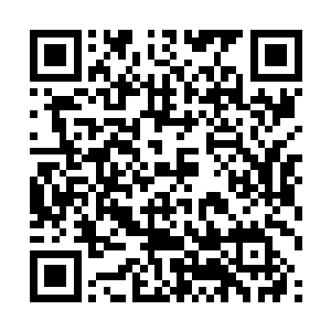 当被自己认为拥有极大威胁的存在吸引了注意力之后二维码生成