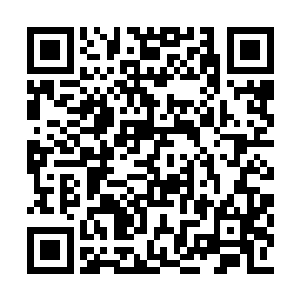 当记者询问奥利维亚是如何决定自己志愿的时候二维码生成