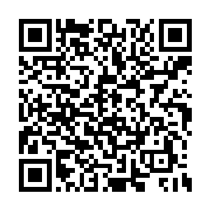 当许东林看到坐在轮椅上的秦洛时还是大吃一惊二维码生成