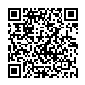 当许紫烟感觉到宝器拳水属性拳技自己领悟到极致的时候二维码生成