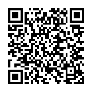 当许紫烟等十一个圣级大修士距离山巅不到千米的时候二维码生成