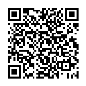 当费之图那玉铲铲在剑魂草所在花坛的土壤上的瞬间二维码生成