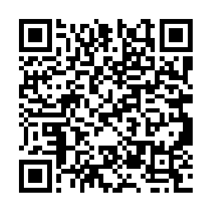 当赵纯良用拳头硬生生的将虎贲的手骨打断的时候二维码生成