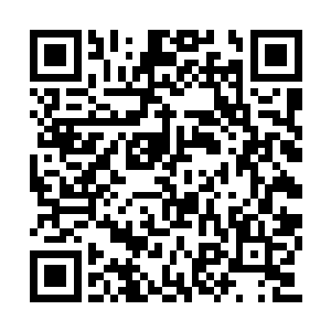 当赵菁燕他们都以为李奇还要往蛤蜊上面浇酒时二维码生成