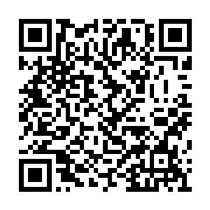 当赵长枪和最后一辆运兔子的卡车回到平川县长二维码生成