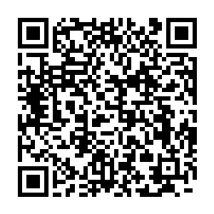 当距离已经近到透过植物的缝隙能清晰看到那只水母以及他身下的二维码生成