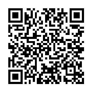 当车队在离开了黄土镇五里外的河洼地集合以后二维码生成