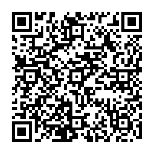 当边学道和在南方某省当市委书记的师哥李建成一起扶着东森大学最年长最有名望的二维码生成