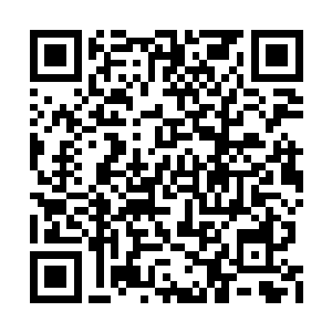 当过编剧的她当然想要自己改编自己的小说……二维码生成