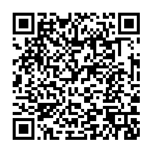 当这些拥有圣品血脉的天才将自身血脉掌控并且发挥出真正圣品威力之时二维码生成