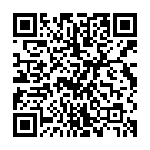 当这些鸟人知道他们的实力在外面也只是一般会是什么样的表情二维码生成