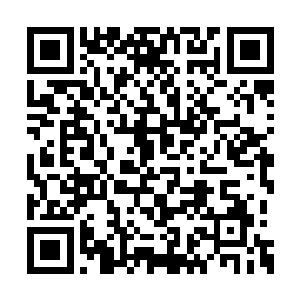 当这样一个平凡的愿望都成为了一种渴望的时候二维码生成