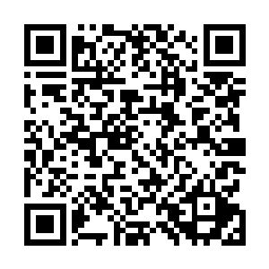 当那两只远古地精看到摆放在乱石山外的机械泰坦的时候二维码生成