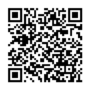 当那两名年轻的修真者刚刚跑到绿化林的边缘处二维码生成