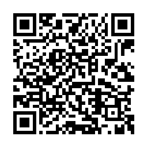 当那个人尊期修士的神识刚刚接触到暗属性仙剑二维码生成