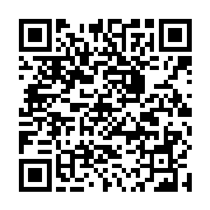 当那些幸存下来的人类发现人类如果想更好的生存下去二维码生成