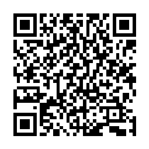 当那只超大型的蝙蝠单枪匹马的干掉七千万架无人战机之后二维码生成