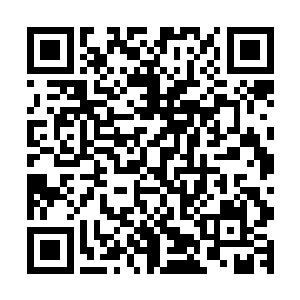 当那在她身后看守着的两名红衣男子的身影也隐没在火红中后二维码生成