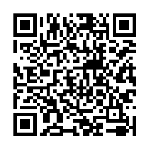 当那幅详尽至极的彩绘地图尽数出现在众人视野后二维码生成