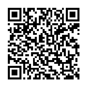 当那眸中的血丝重新汇聚收拢成了熟悉的瞳仁时二维码生成