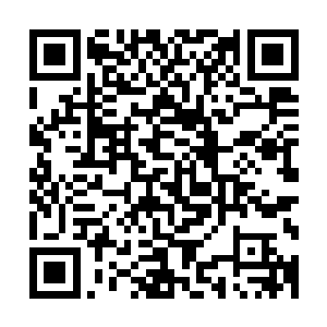 当邪恶的吞噬兽一招就将曾经的魔界至强者库巴大君打败之后二维码生成