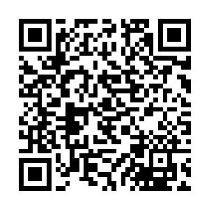 当郑欣欣看到冯长天和枪哥争的竟然是这一款衣服后二维码生成