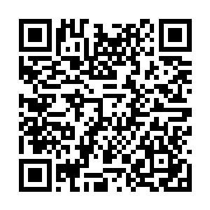 当郭华将第二十根钢针也穿刺到东阳朔体内的时候二维码生成
