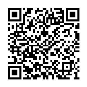 当陈梦瑶发现赵虎双手各握着一颗四阶黑暗魔核二维码生成