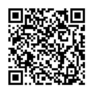 当随着莫小鱼春风般的言语渐渐洗涤了她的心灵时二维码生成