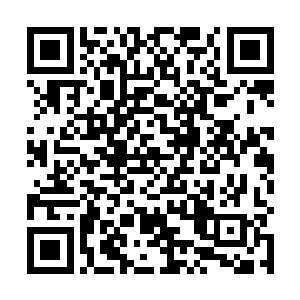 当青色宫殿之中射出一道青光没入白色元纹之中的时候二维码生成